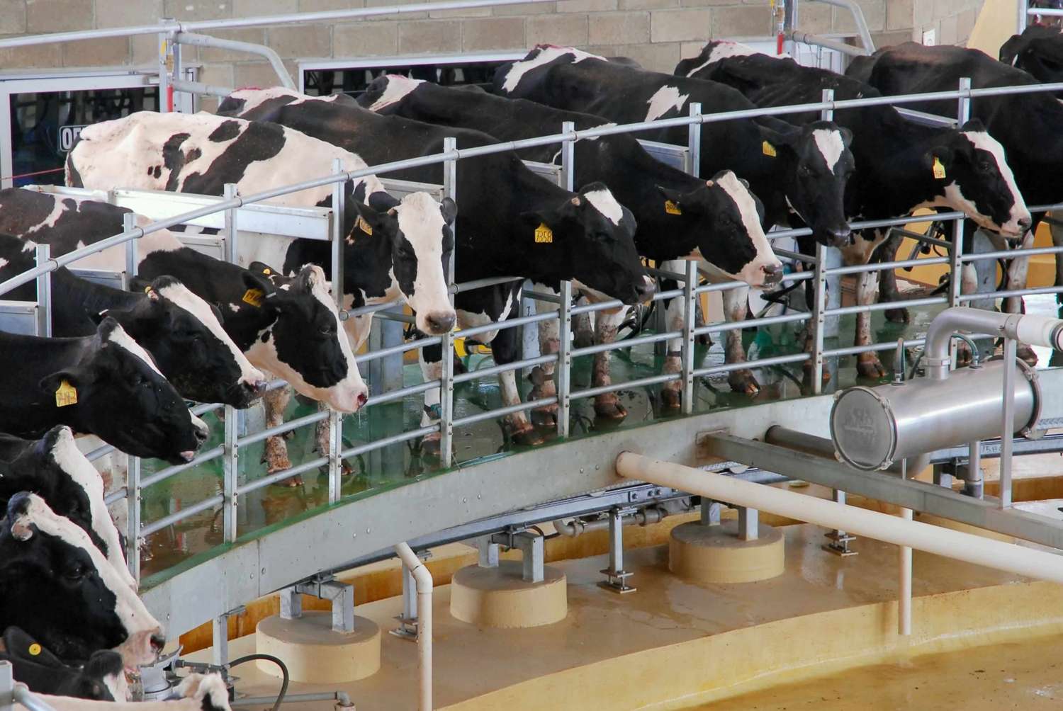 Asistencia financiera a fabricantes de maquinarias agrícolas y productores de leche