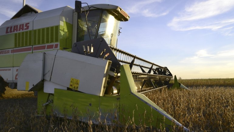 Por la caída de precios externos ingresarán u$s3.000 millones menos por soja