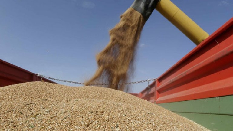 La soja trepa 5% en EEUU y ayuda a las exportaciones argentinas