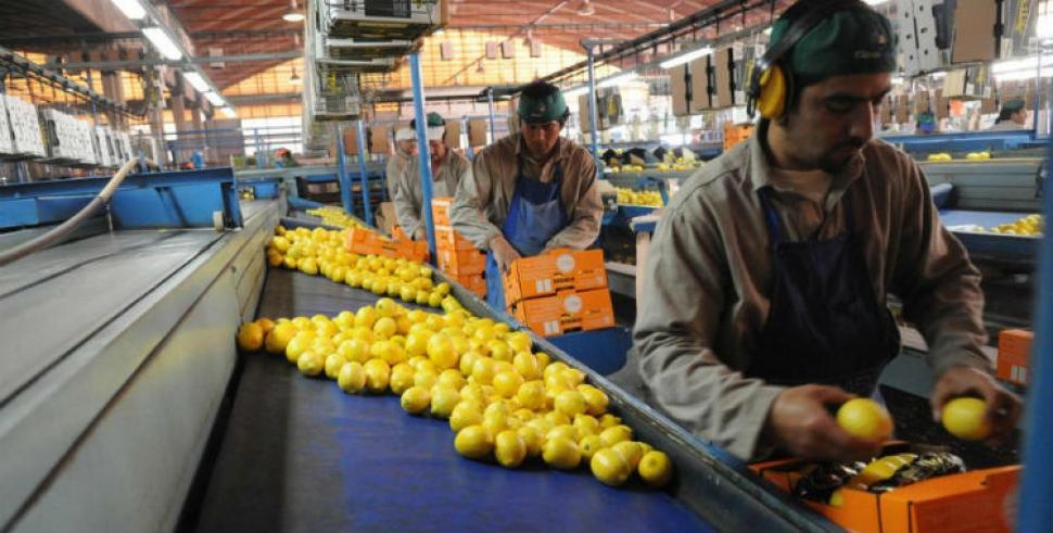 Brasil reabrió su mercado de cítricos a la Argentina
