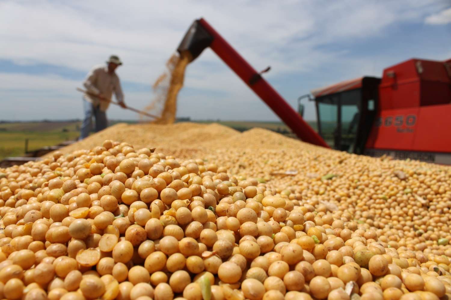 Argentina busca colocar productos agroindustriales en Asia y África