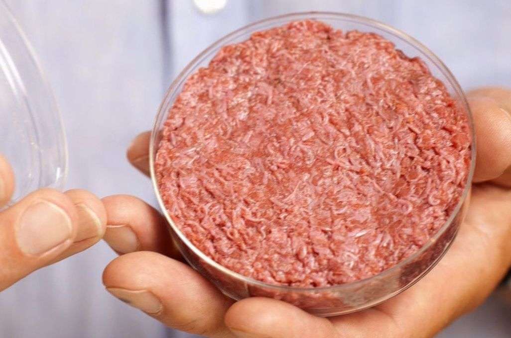 Se viene la carne “sintética” made in Argentina
