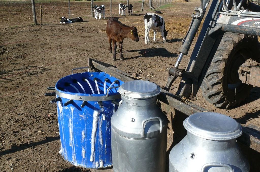 Las exportaciones de lácteos crecieron más del 38% en 2018