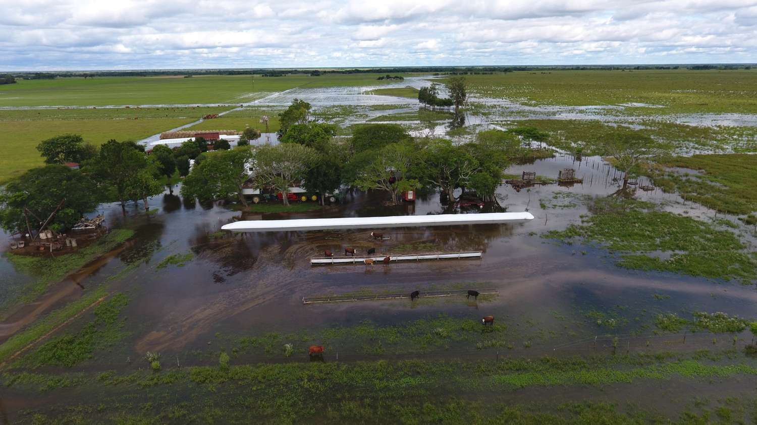 La provincia declaró zona de desastre agropecuario a los departamentos 9 de Julio, Vera y General Obligado