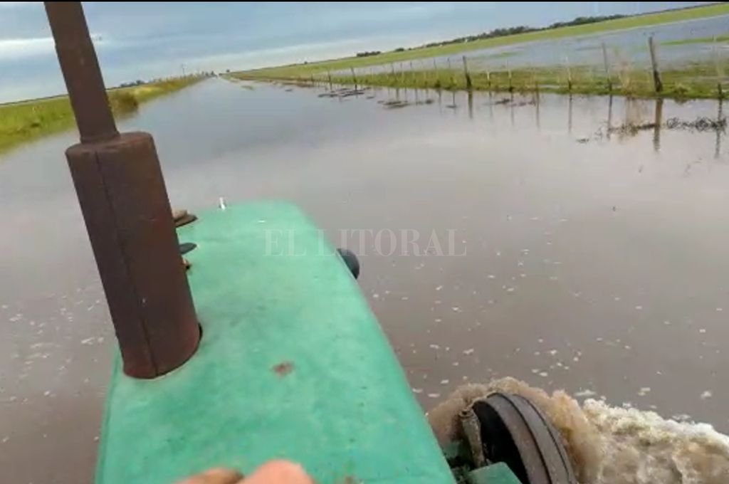 Inundaciones: peligra la fina en el noroeste santafesino