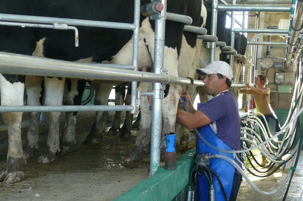 Se estanca el precio de la leche para el productor