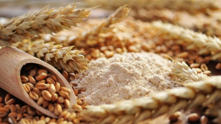 La región podría llegar a producir 7 millones de toneladas de trigo