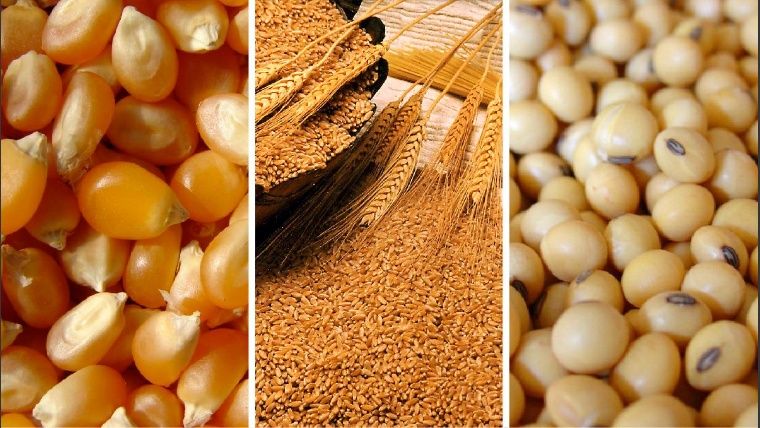 Vuelven a subir los precios de la soja y el maíz en el mercado de Chicago