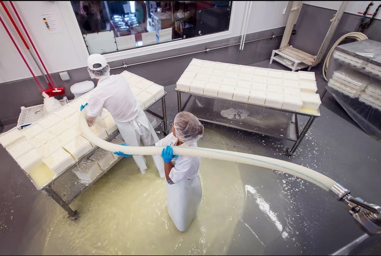 Lácteos sintéticos atraen a inversores en un nuevo camino alimenticio