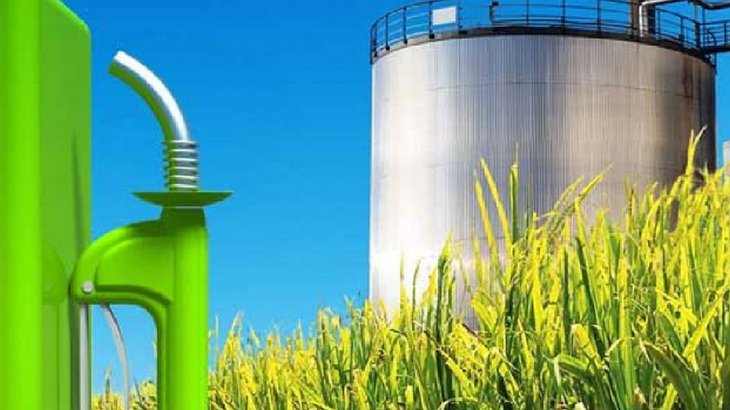 Productores de biocombustibles paralizan la actividad por el congelamiento de precios