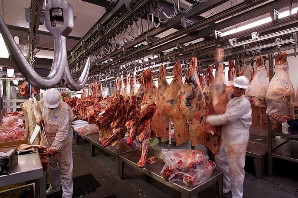 Coronavirus: descartan que afecte embarques de carne a China