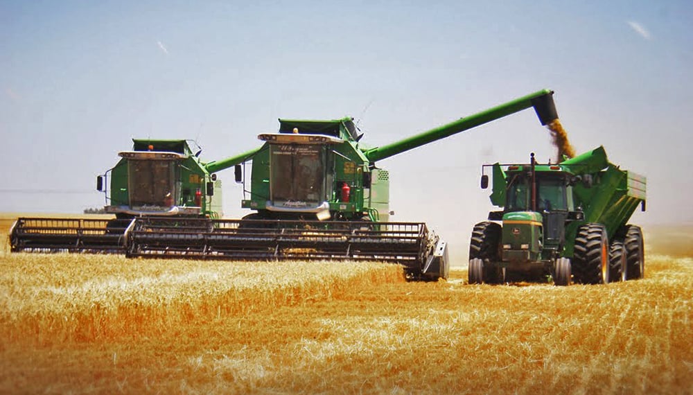 Según el INDEC, la actividad económica creció 0,6% en julio impulsada por el agro