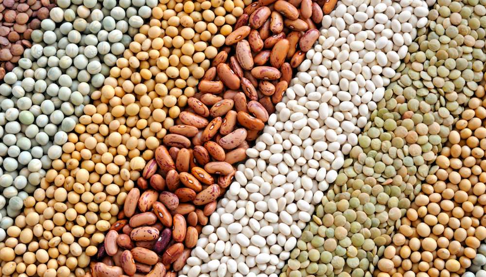 AFIP modificó el impuesto a las Ganancias para comercializadores de granos