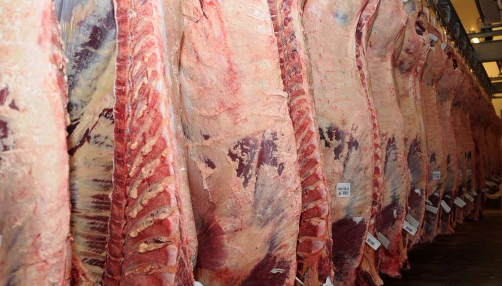 Exportadores de carne contra una resolución de AFIP que reduce el pago a cuenta del IVA