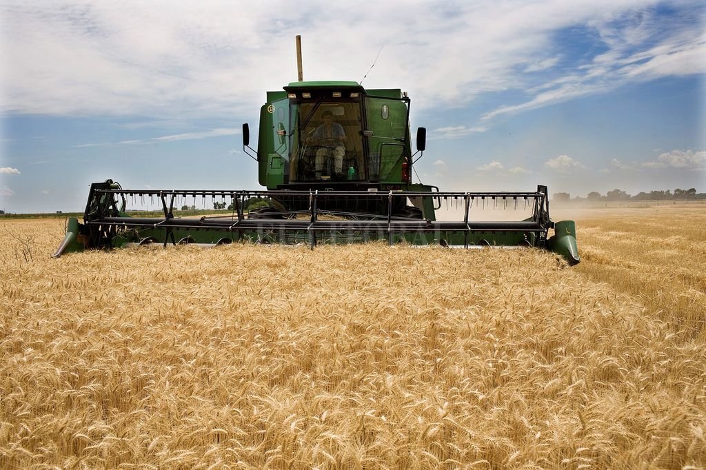 El Gobierno avanza con el fideicomiso para el trigo