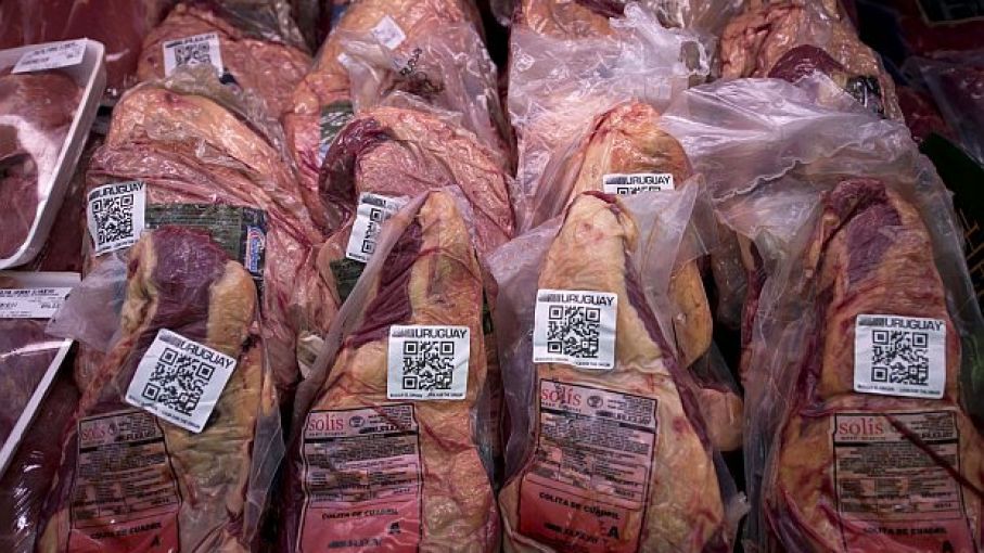 Carnes: la exportación marcó un nuevo récord en 2019