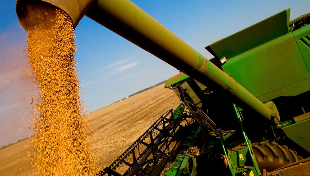 Productores demoran ventas de soja por más de u$s10.000 millones