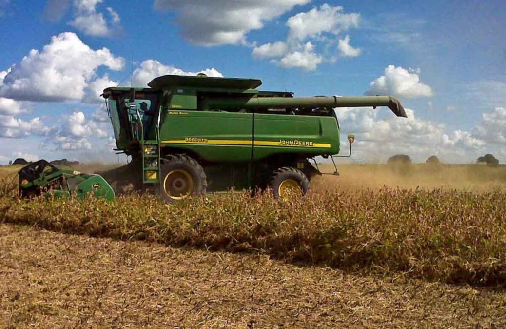 El mercado de granos registró mejoras en valores por soja y trigo