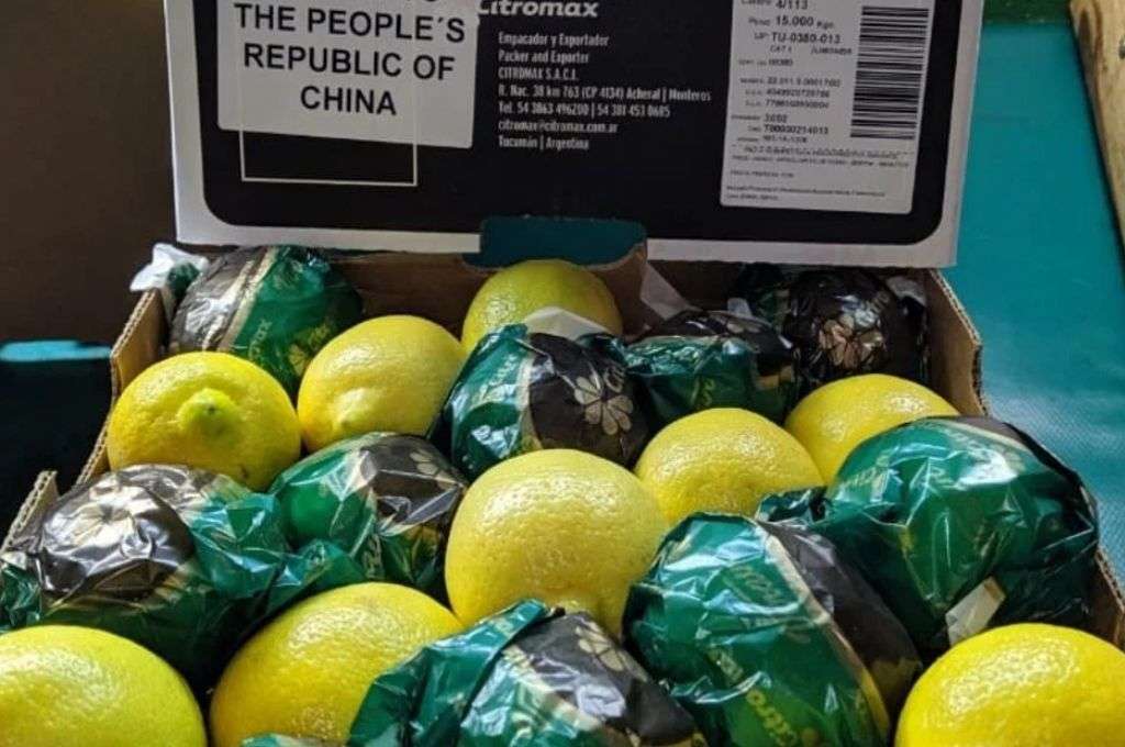 Desde Tucumán salió el primer cargamento de limones hacia China