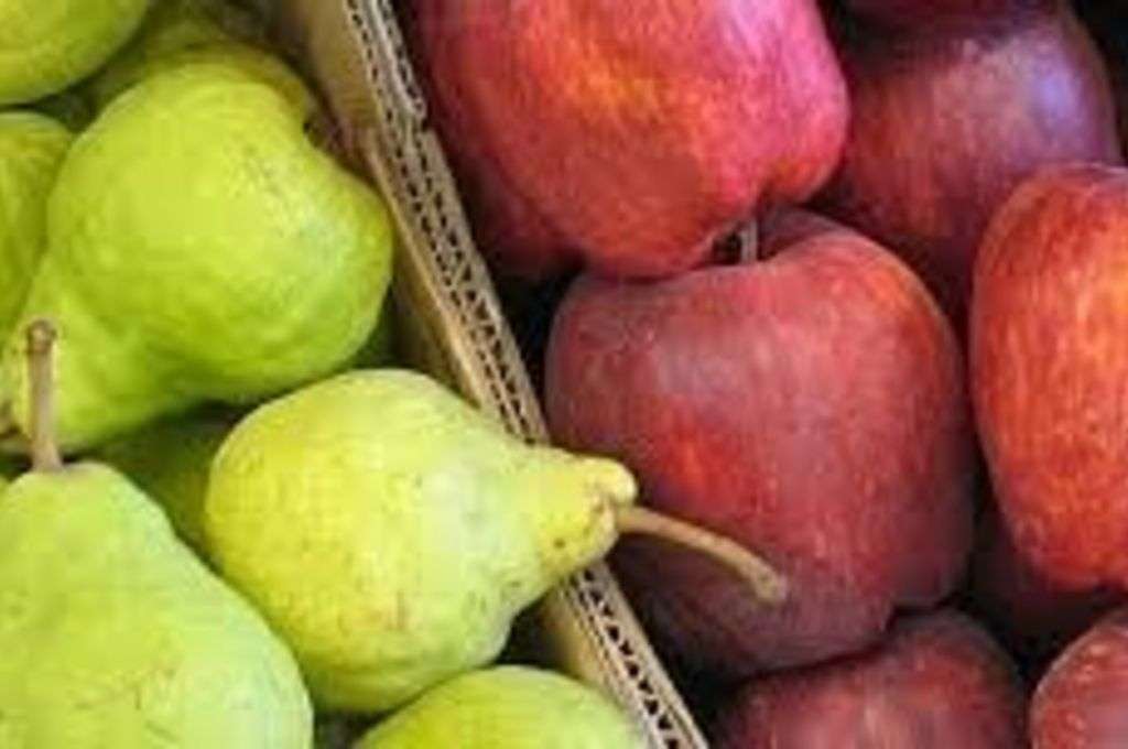 Gobierno crea programa de asistencia a la cadena de producción de peras y manzanas