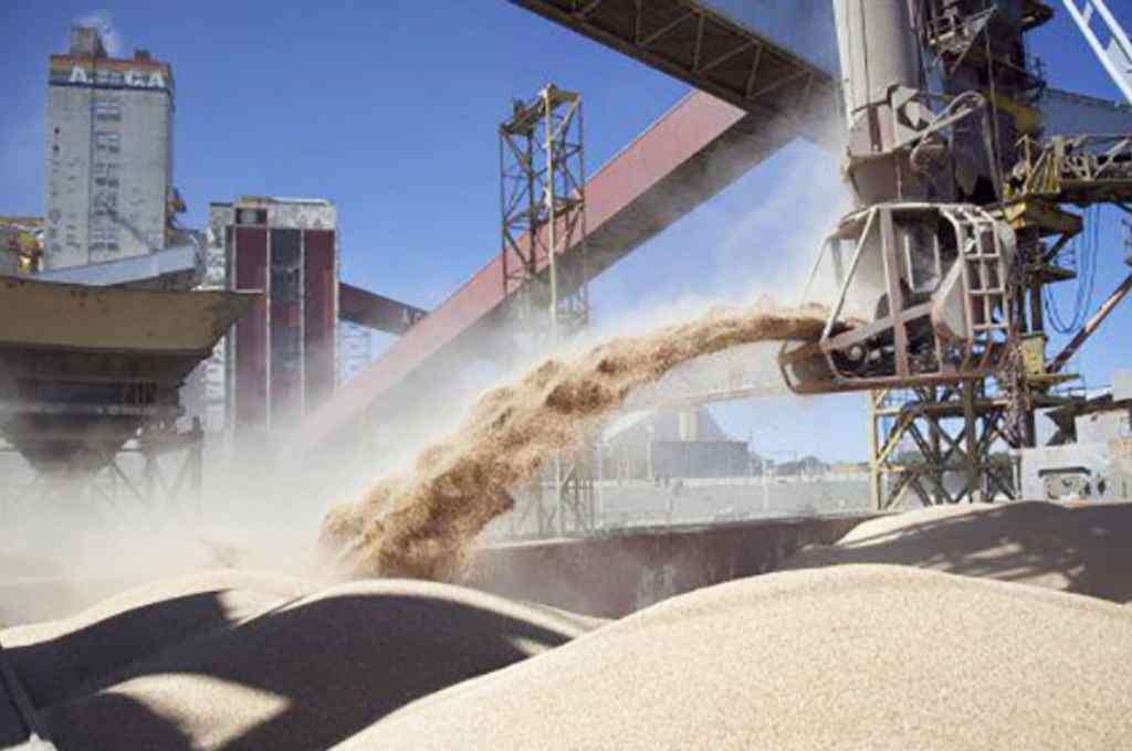 El Consejo Agroindustrial presentó su proyecto en el Senado para aumentar las exportaciones y el empleo