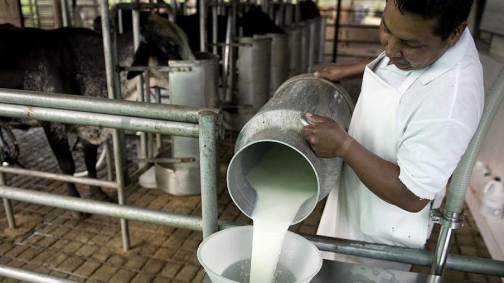 Argentina cumplió en el 99% con la cuota de exportación de lácteos a Colombia