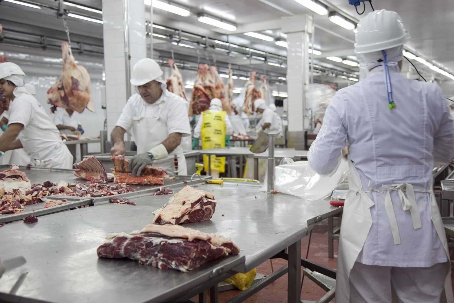 Exportación de carne: la incertidumbre en Europa renueva el atractivo de China