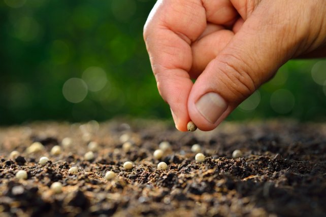 La cadena de la industria de semillas se une por primera vez con una agenda común