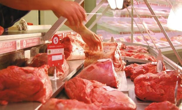 Las exportaciones de carne vacuna argentina descendieron un 12 %