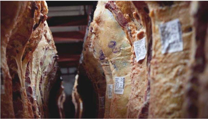 Cayeron 45% las exportaciones de carne en junio