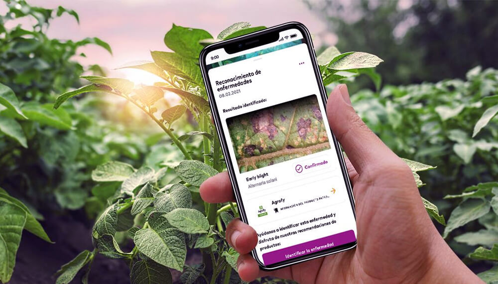Agricultura digital: una plataforma permite detectar problemas en el lote y comprar insumos para solucionarlos
