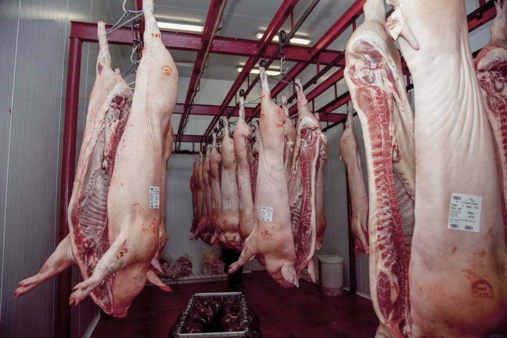 La Aduana estableció valores de referencia para la exportación de carne porcina