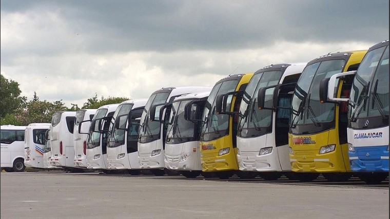 Con inversión de u$s9 millones, diseñaron buses premium y se metieron en el mercado chileno