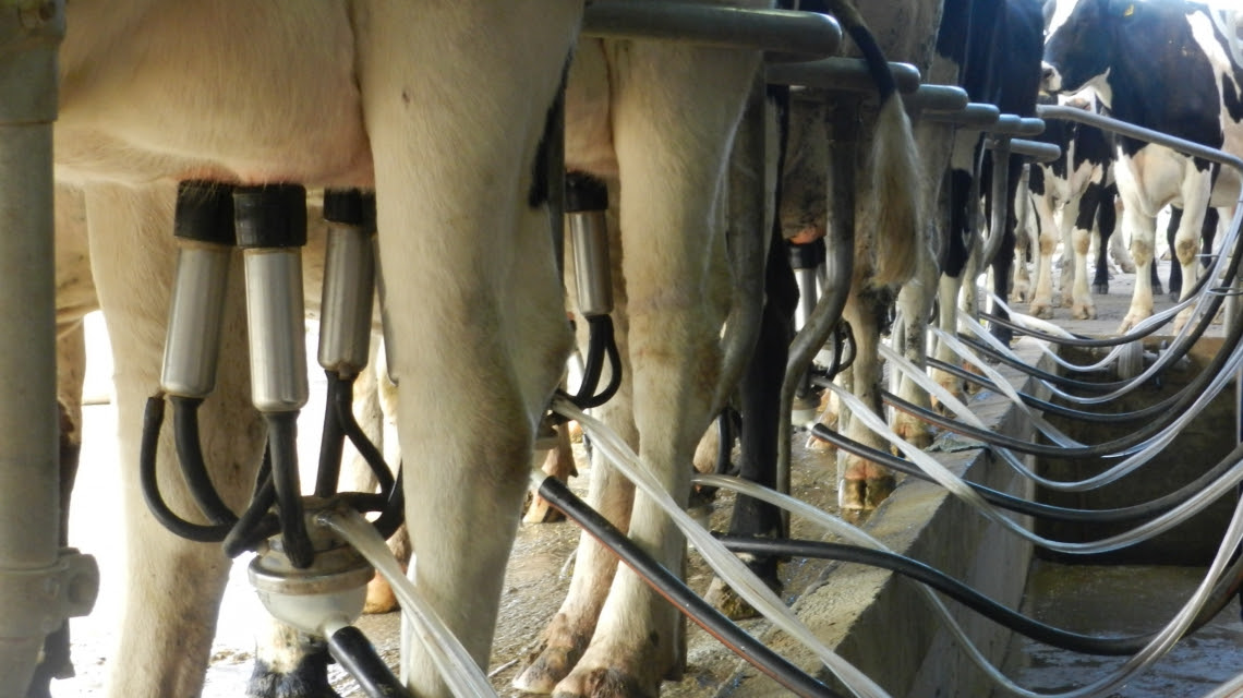 Santa Fe se posiciona en el desarrollo de la cadena de valor láctea