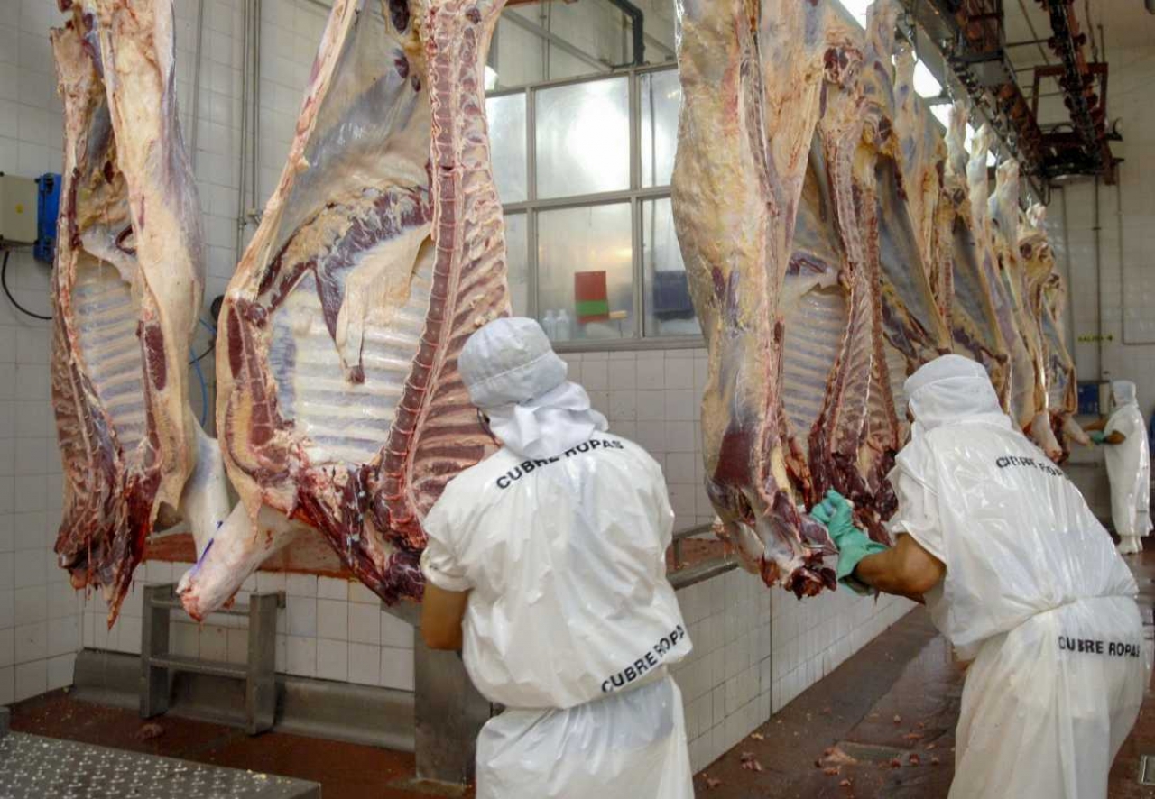 El Gobierno afirma principio de acuerdo con frigoríficos y se reanudarían exportaciones de carne vacuna