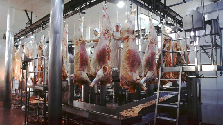 Advierten que el “el daño será muy grande” si el Gobierno extiende el cierre de las exportaciones de carne vacuna