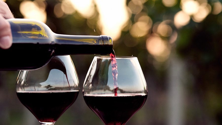 La vitivinicultura argentina cierra el año con producción, exportaciones y consumo en alza