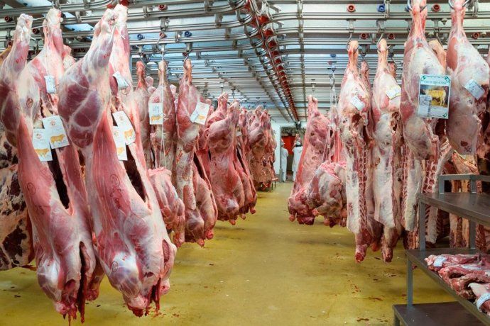 El campo celebró la flexibilización de las exportaciones de carne