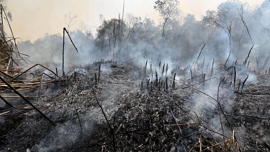 Los incendios en Corrientes dejaron pérdidas económicas por más de $82.000 millones