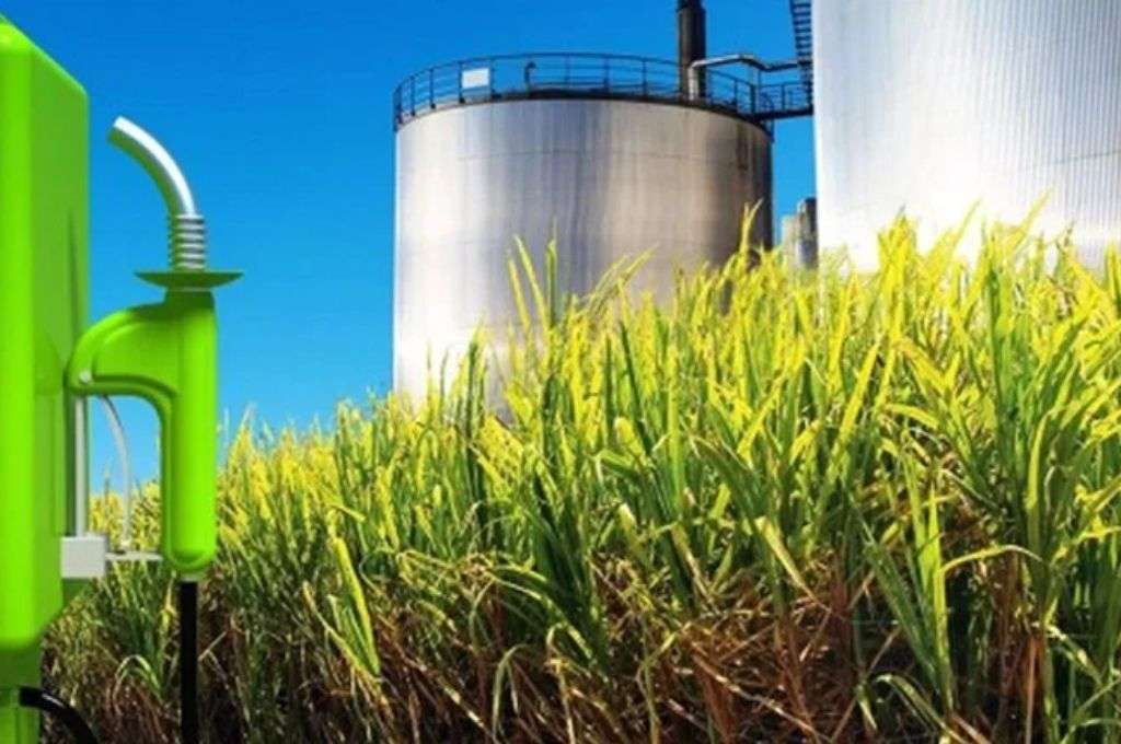 Aumentó el precio del bioetanol hecho a base de caña de azúcar