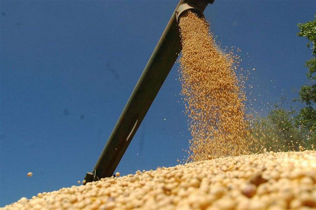 Las ventas de soja en septiembre crecen un 88% en comparación con agosto