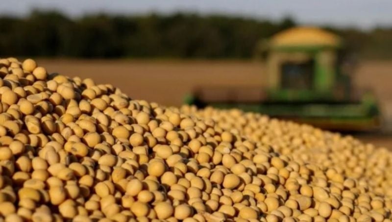 Soja: se redujo un 32% el margen bruto para los productores