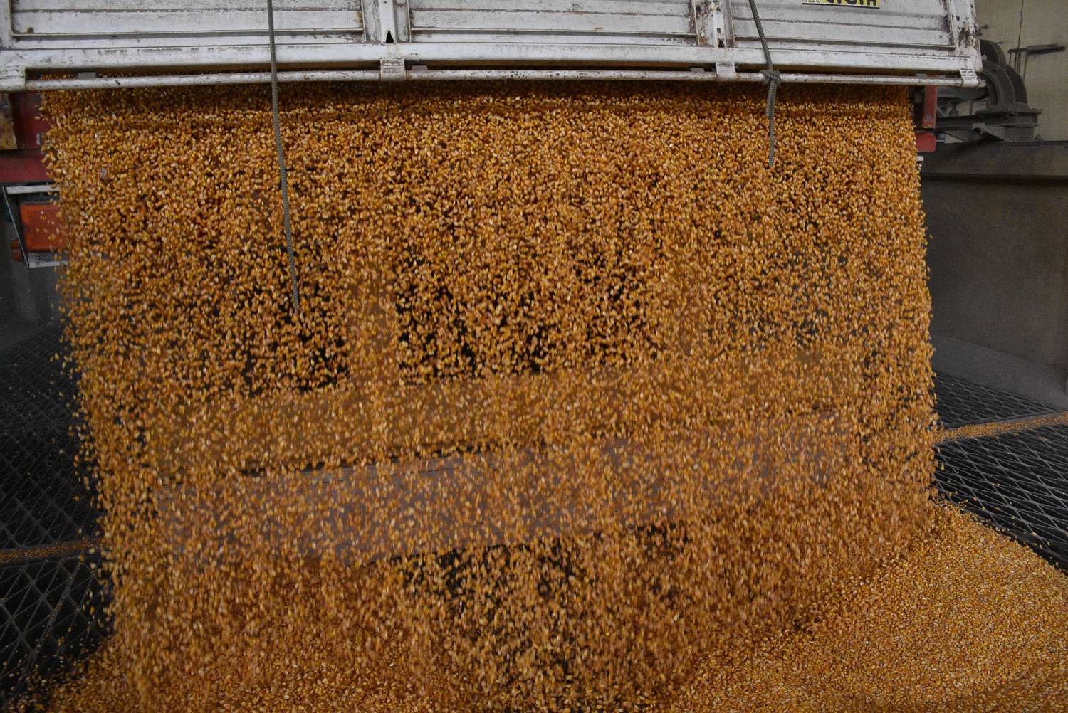 Agricultura prorrogó por 180 días los embarques de maíz por la sequía