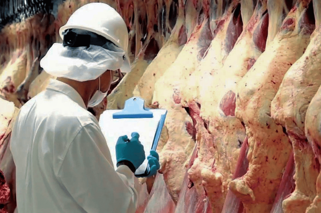 Carne: las exportaciones aumentaron más de 10% en 2022 y generaron ingresos por USD 3.500 millones