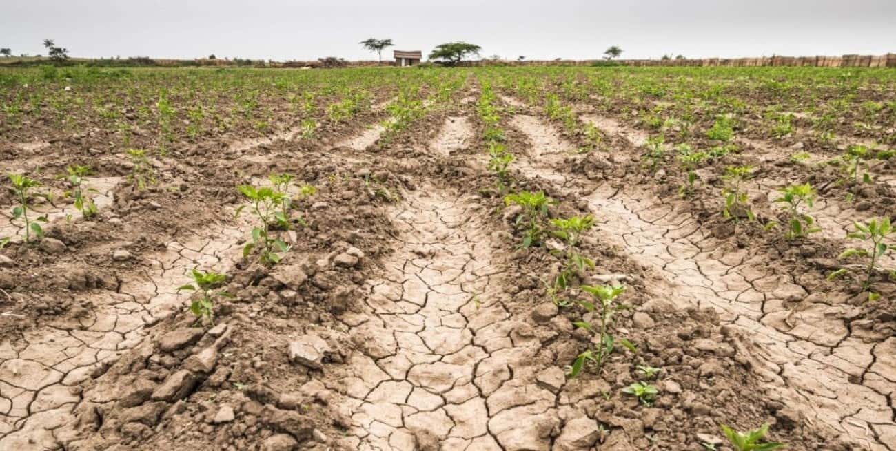 Sequía: en abril comenzaría el impacto económico en Santa Fe