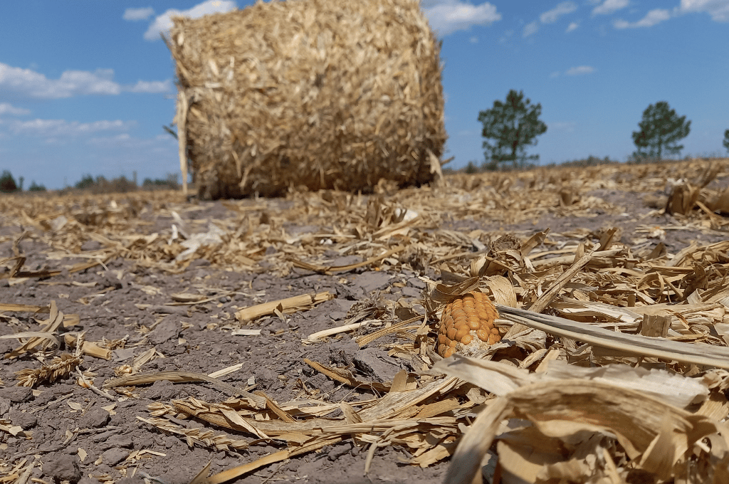 La Federación Agraria pidió una audiencia urgente con funcionarios nacionales por la sequía extrema