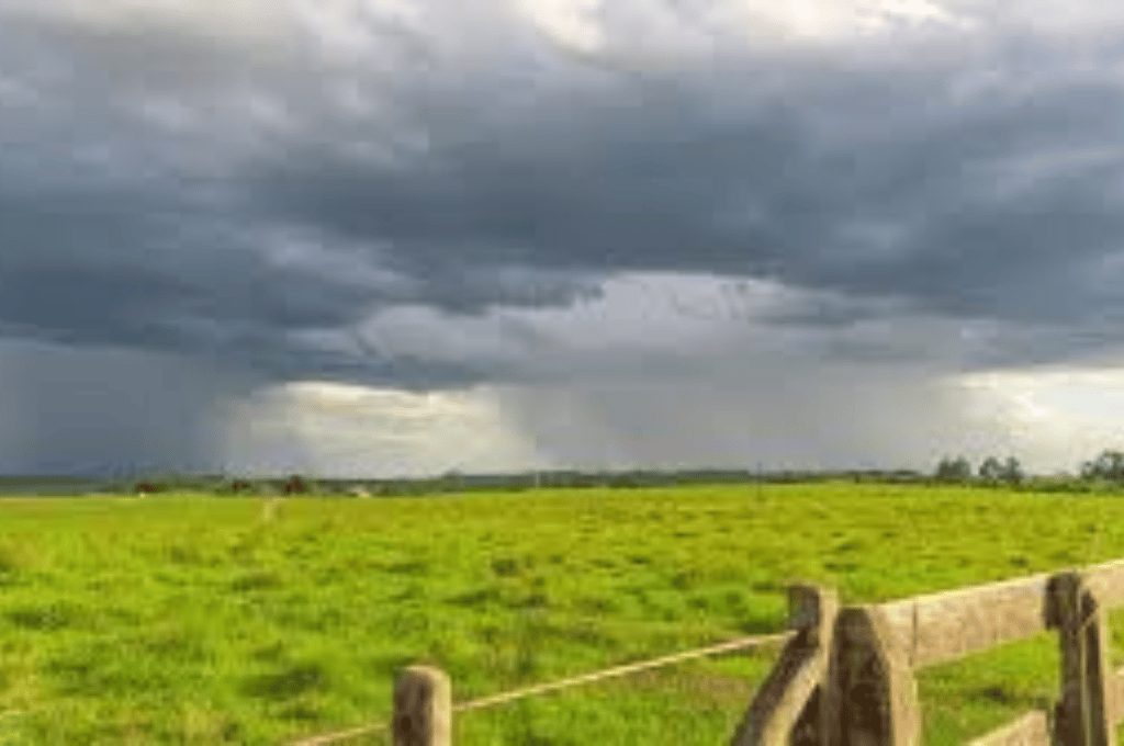 Pronóstico alentador: las lluvias abundantes para el campo llegarán en abril