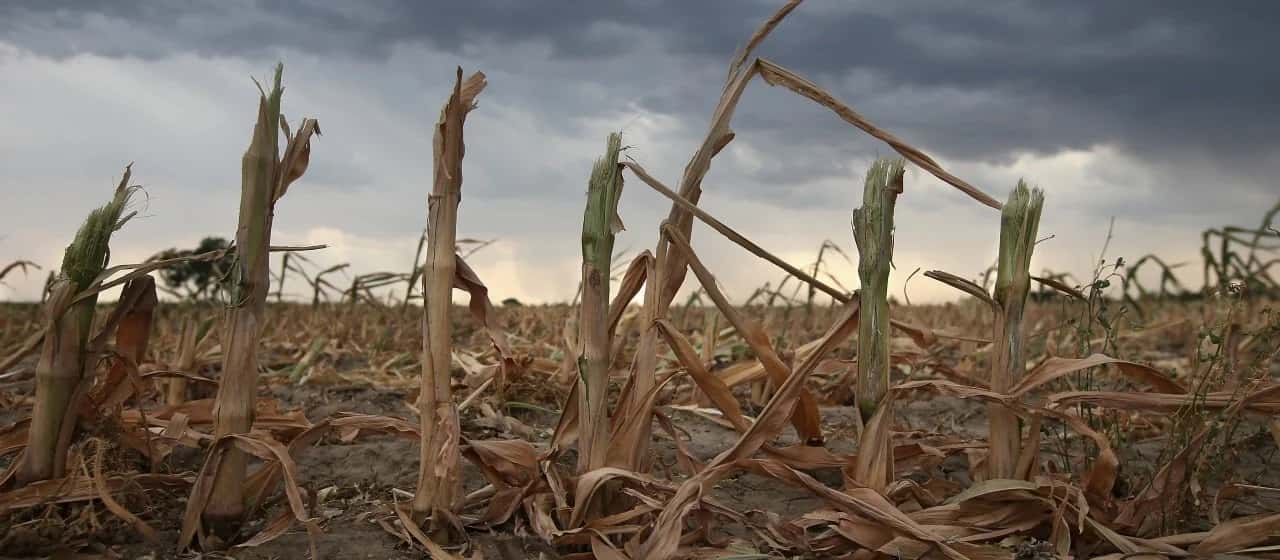 La provincia de Santa Fe prorrogó la emergencia agropecuaria por la sequía