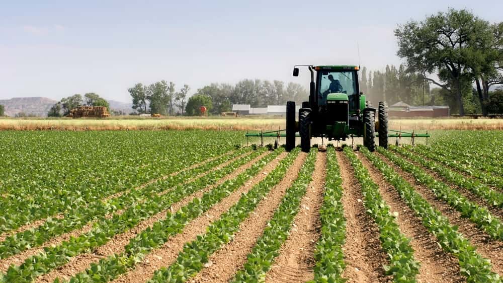 Santa Fe extiende apoyo a productores por la emergencia agropecuaria