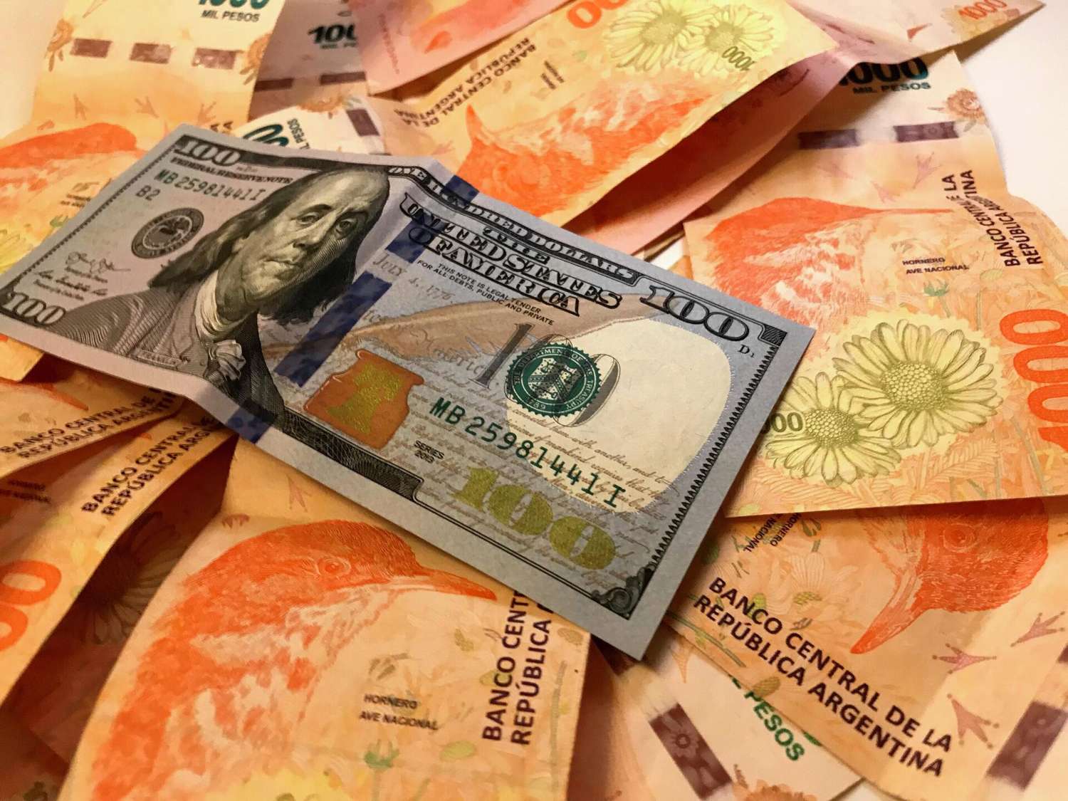 Deshacerse de los pesos para acumular dólares es un pasatiempo de los argentinos